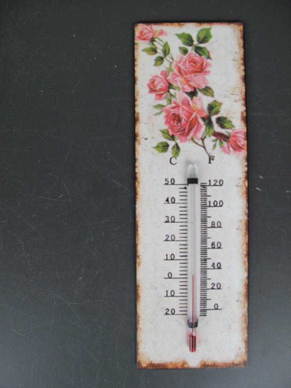 Thermometer Antik Eisen H.25x8cm